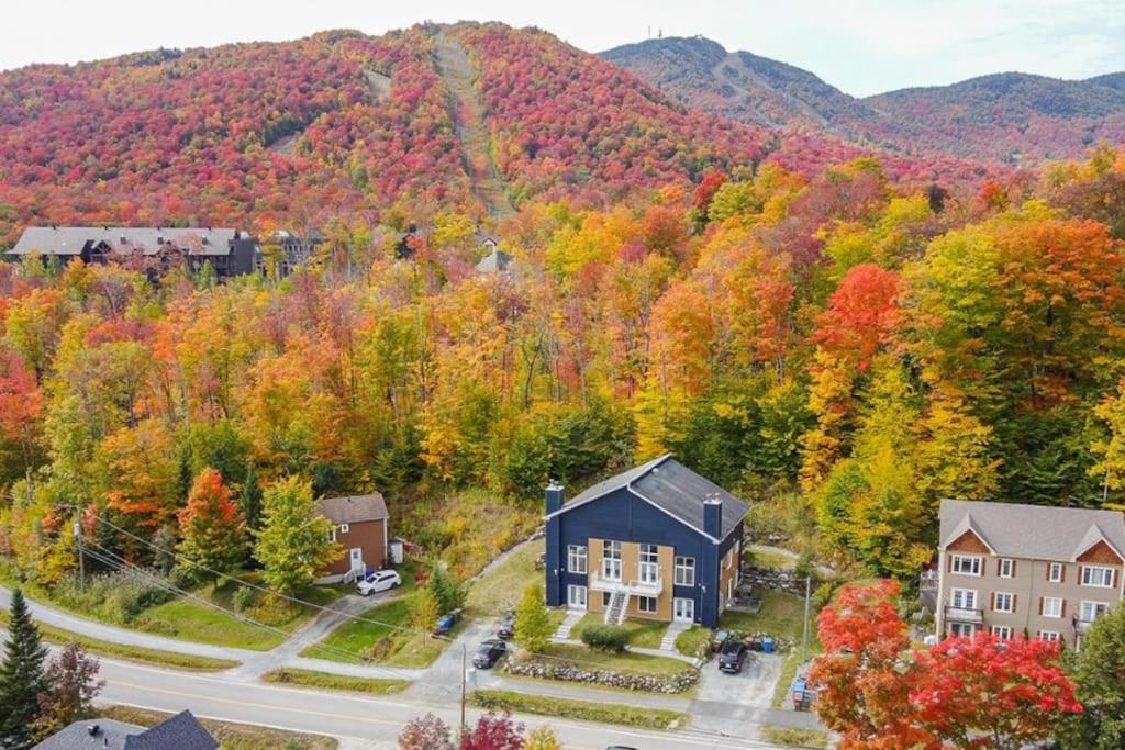 Grands Espaces 115 Condo/chalet * Orford